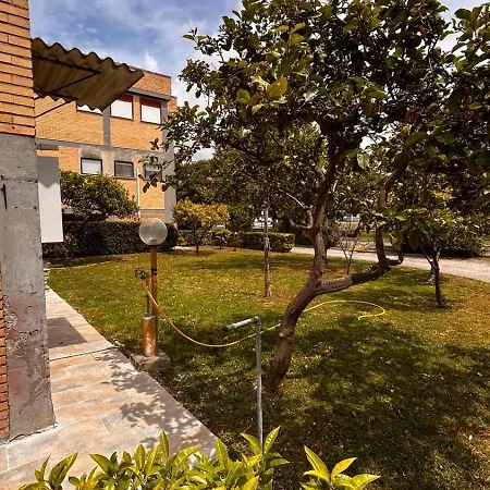 Apartment Minni